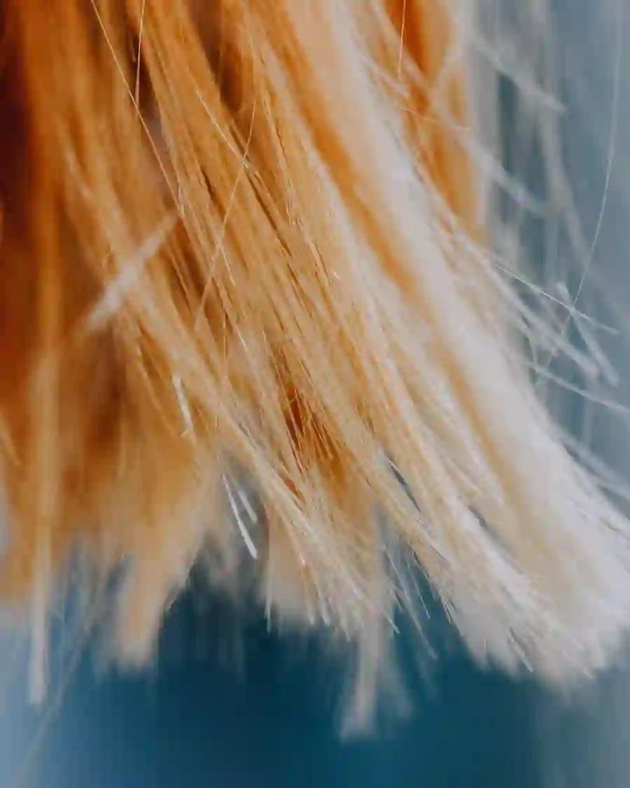 Kühler Blond-Verlauf, Nahaufnahme